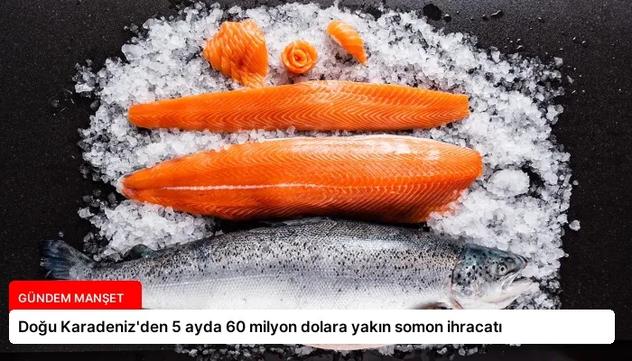 Doğu Karadeniz’den 5 ayda 60 milyon dolara yakın somon ihracatı