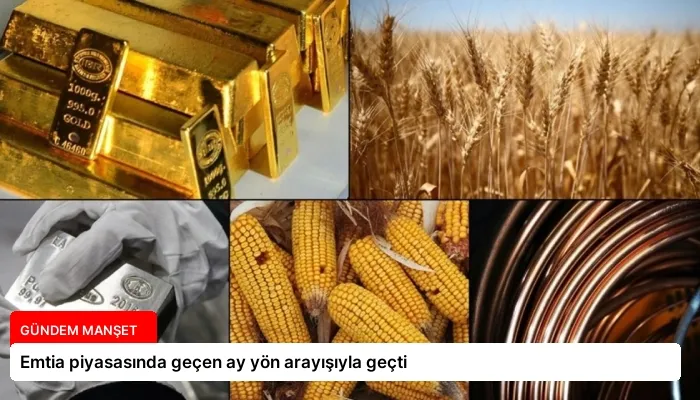 Emtia piyasasında geçen ay yön arayışıyla geçti
