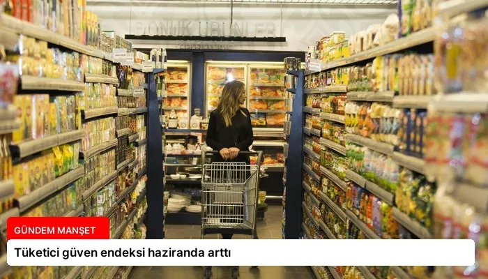 Tüketici güven endeksi haziranda arttı