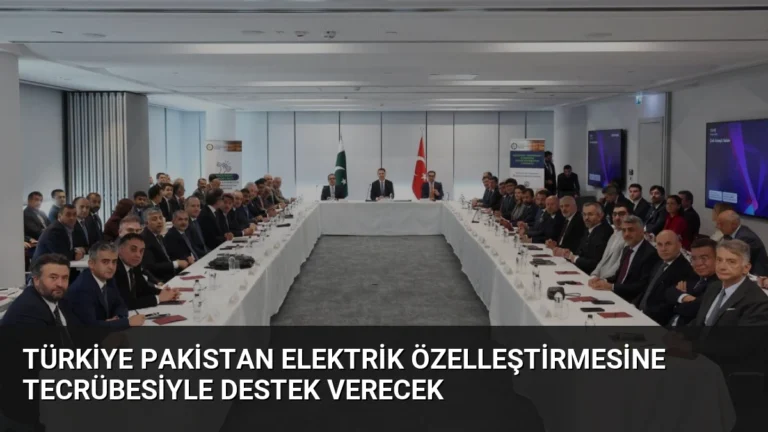 Türkiye Pakistan Elektrik Özelleştirmesine Tecrübesiyle Destek Verecek