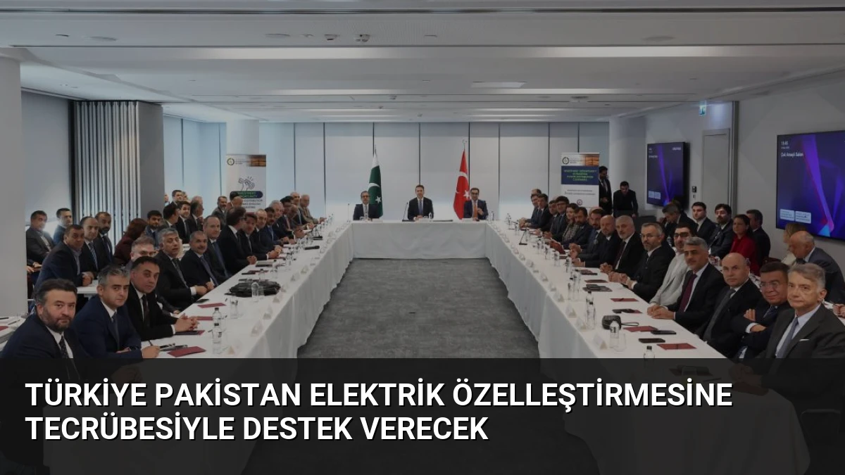 Türkiye Pakistan Elektrik Özelleştirmesine Tecrübesiyle Destek Verecek