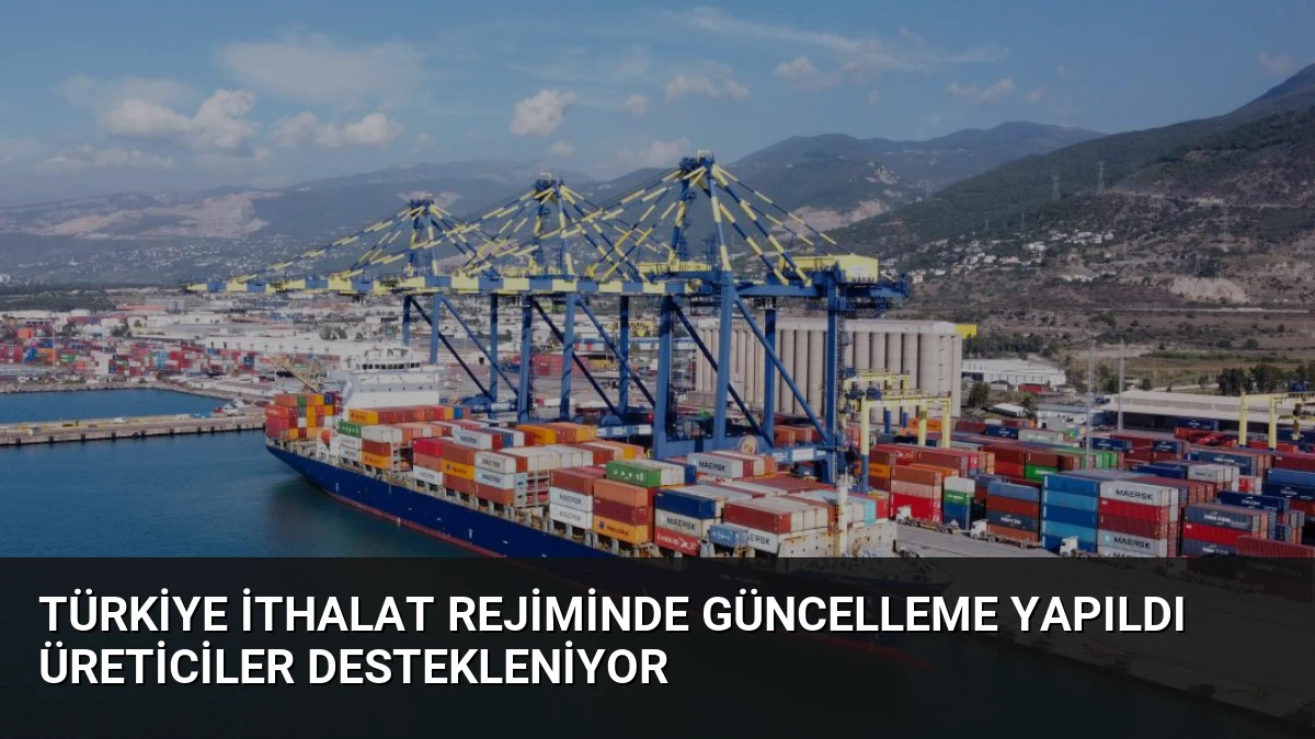 Türkiye İthalat Rejiminde Güncelleme Yapıldı Üreticiler Destekleniyor