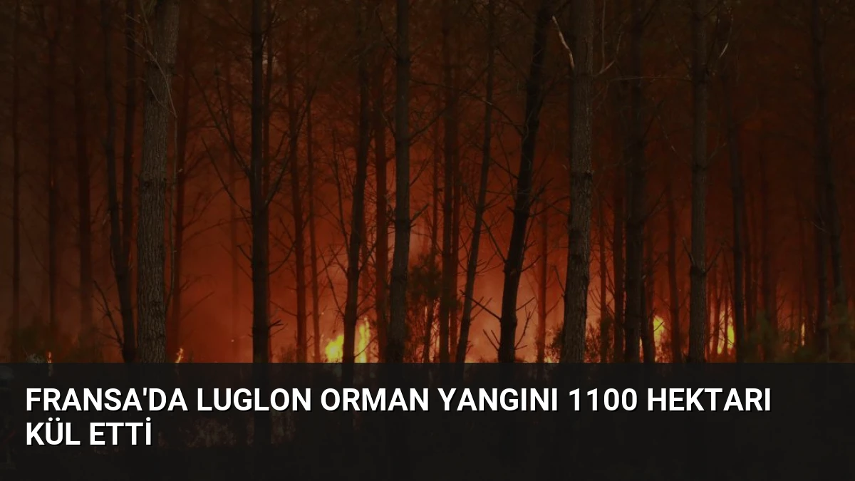 Fransa’da Luglon Orman Yangını 1100 Hektarı Kül Etti