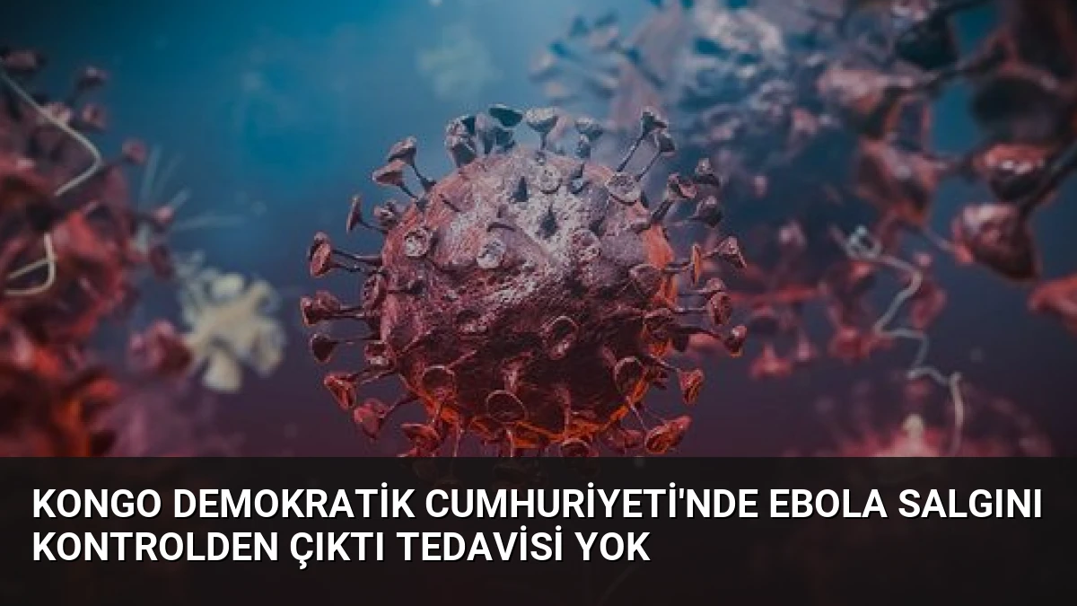 Kongo Demokratik Cumhuriyeti’nde Ebola Salgını Kontrolden Çıktı Tedavisi Yok