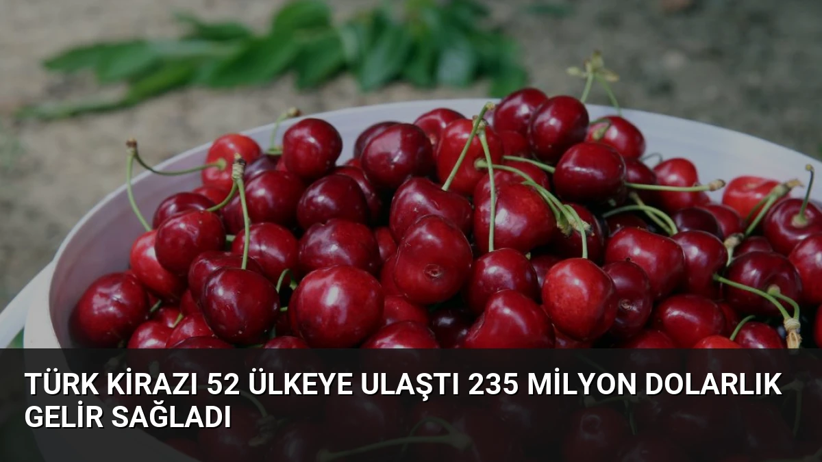 Türk Kirazı 52 Ülkeye Ulaştı 235 Milyon Dolarlık Gelir Sağladı
