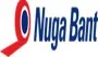 Koli Bant Üretiminde Kalite ve Güvenin Adı: Nuga Bant