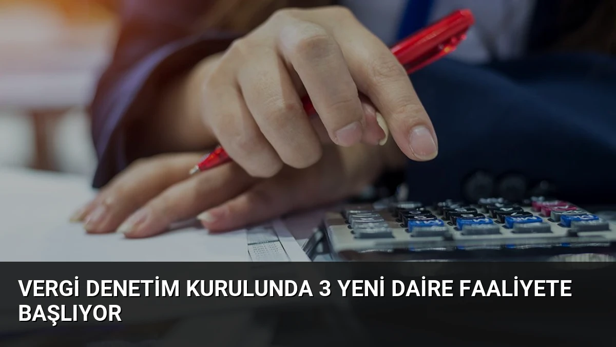 Vergi Denetim Kurulunda 3 Yeni Daire Faaliyete Başlıyor